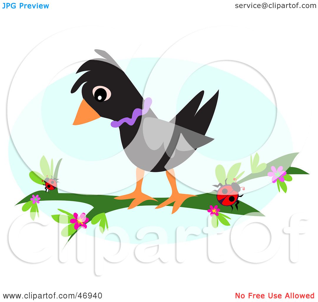 1080x1024 Royalty Free (Rf) Clipart Illustration Of Black Birdnd