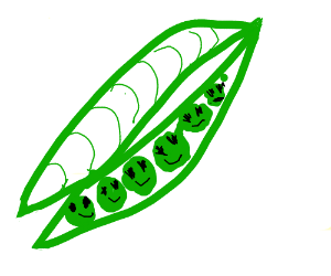 300x250 Black Eyed Peas