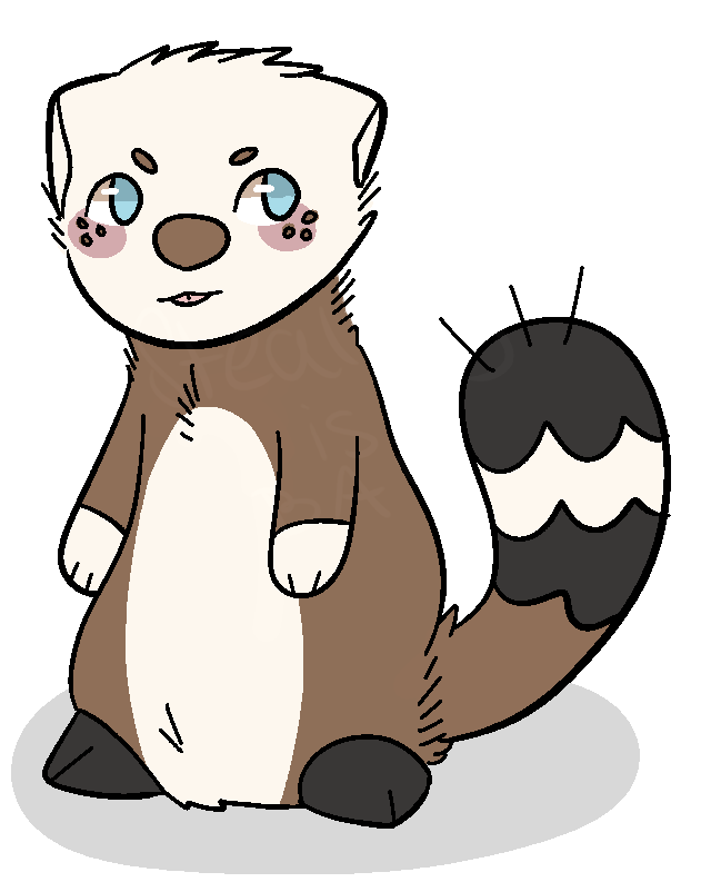 Black Footed Ferret Clipart
