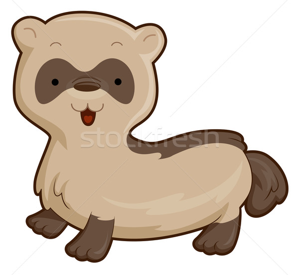 600x553 Ferret Stock Photos, Stock Images And Vectors Stockfresh