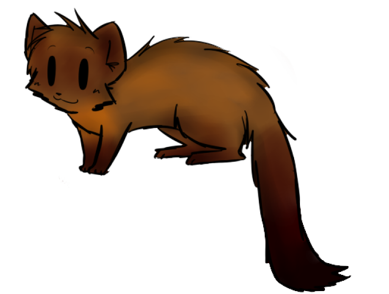 795x600 Ferret Clipart Marten