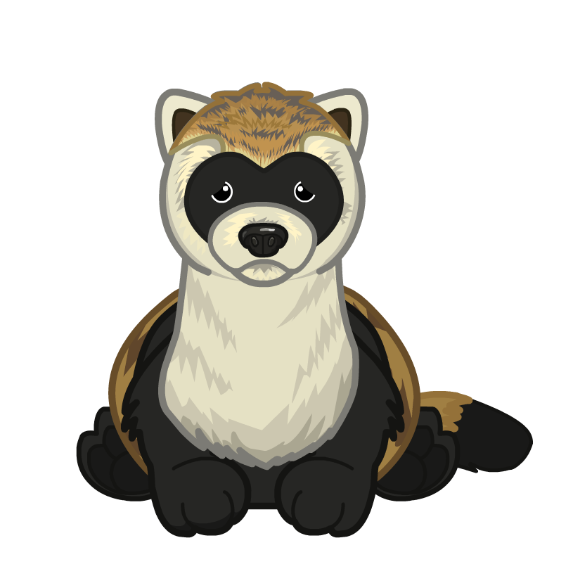 Black Footed Ferret Clipart at GetDrawings | Free download