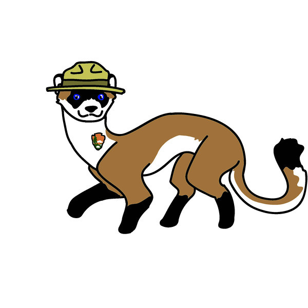 600x600 News Fall 2013