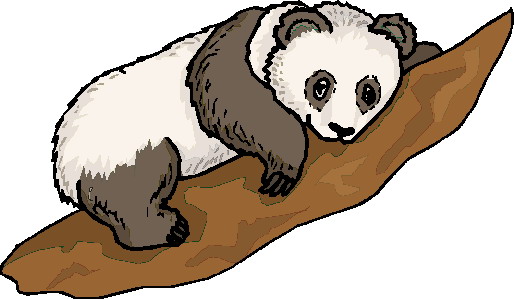 514x299 Panda Clip Art Gif