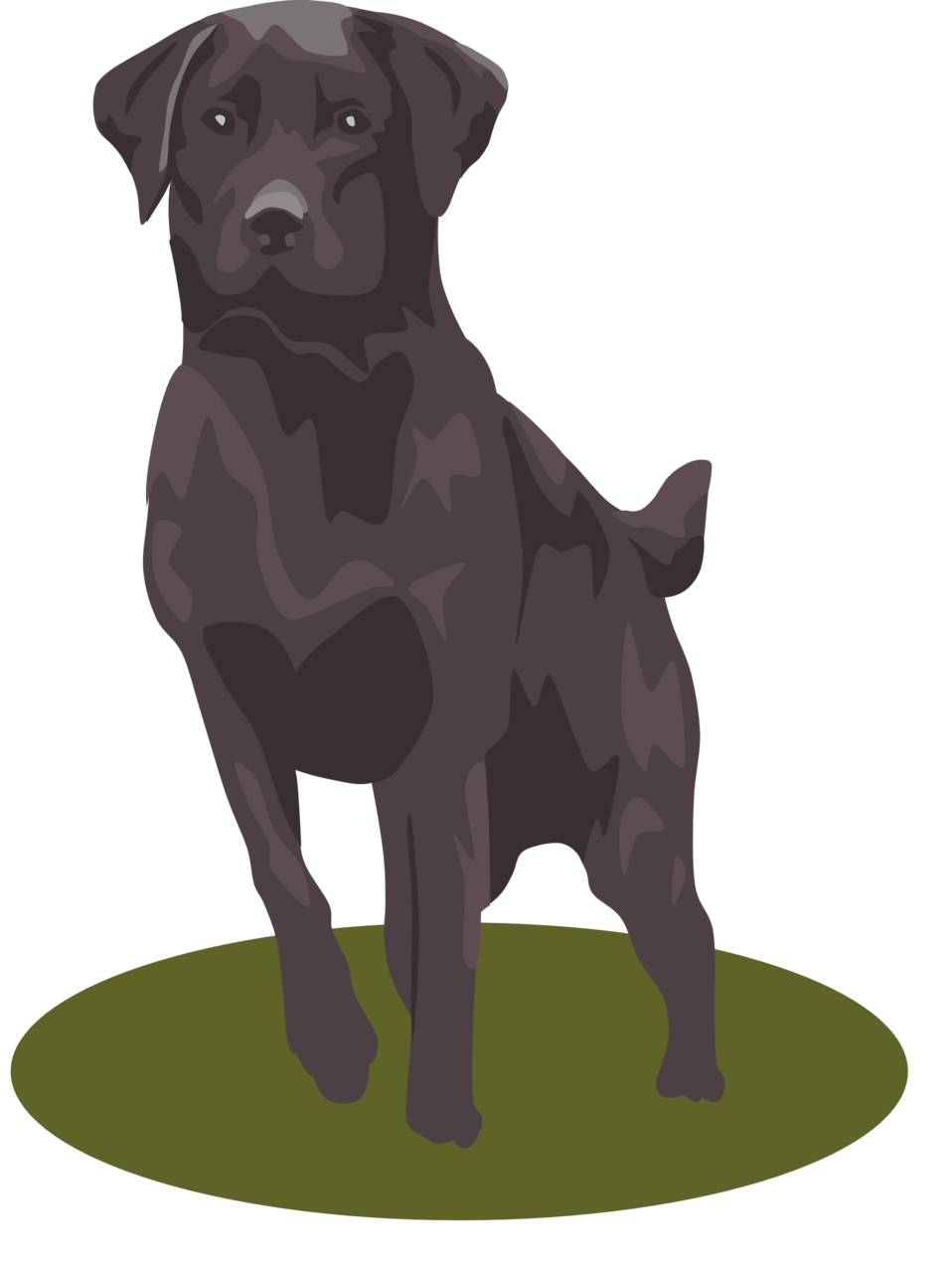 958x1271 Public Domain Clip Art Image Black Lab Id 13920039615544