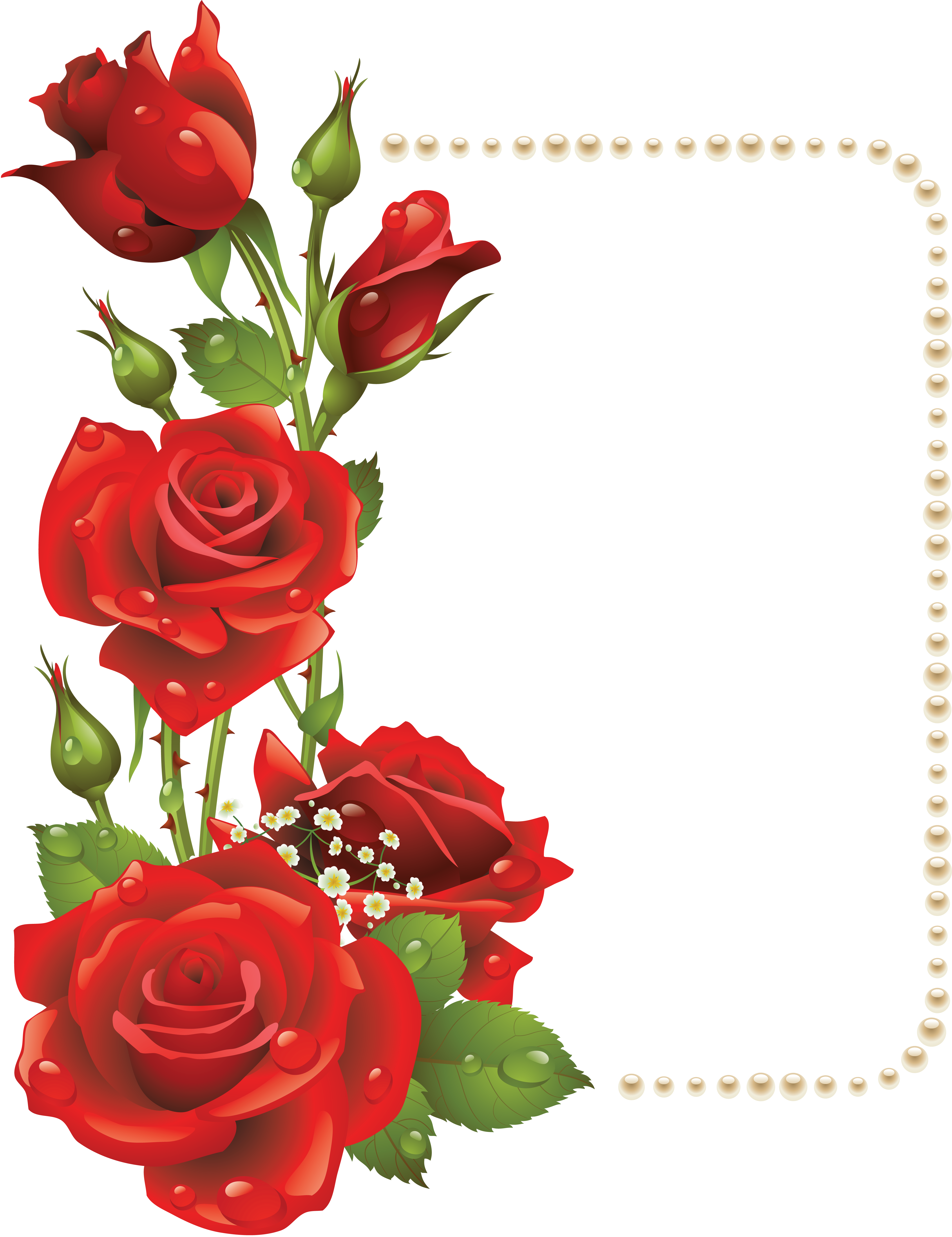 4334x5629 Large Transparent Frame With Red Roses And Pearlsu200b Gallery