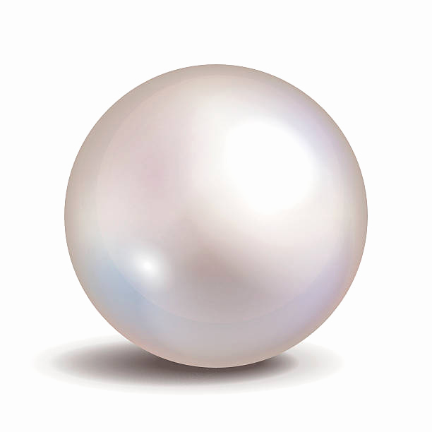 612x612 59 Unique Pearls Clip Art