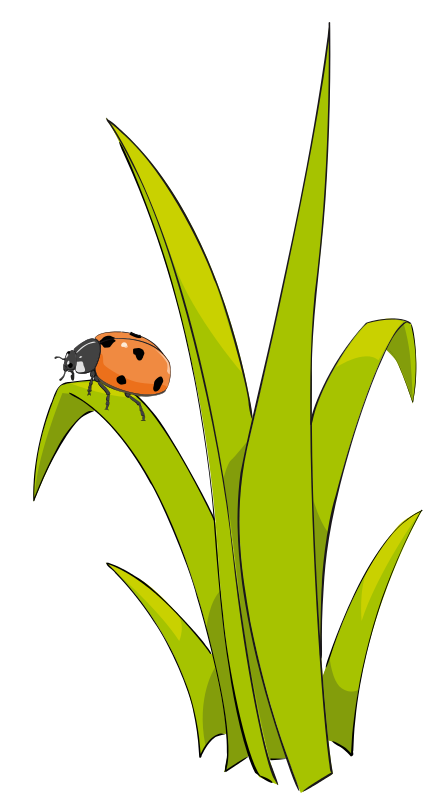448x800 Grass And Flowers Clip Art Grass2 Ladybugs Galore
