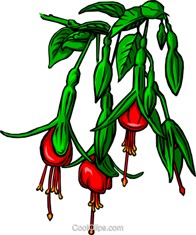 400x480 Bleeding Heart Flower Royalty Free Vector Clip Art Illustration