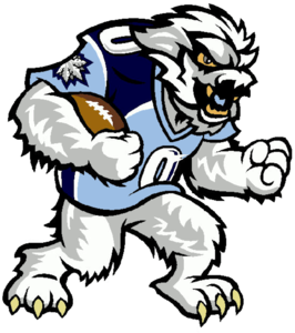 266x300 Blizzard Logo Free Images