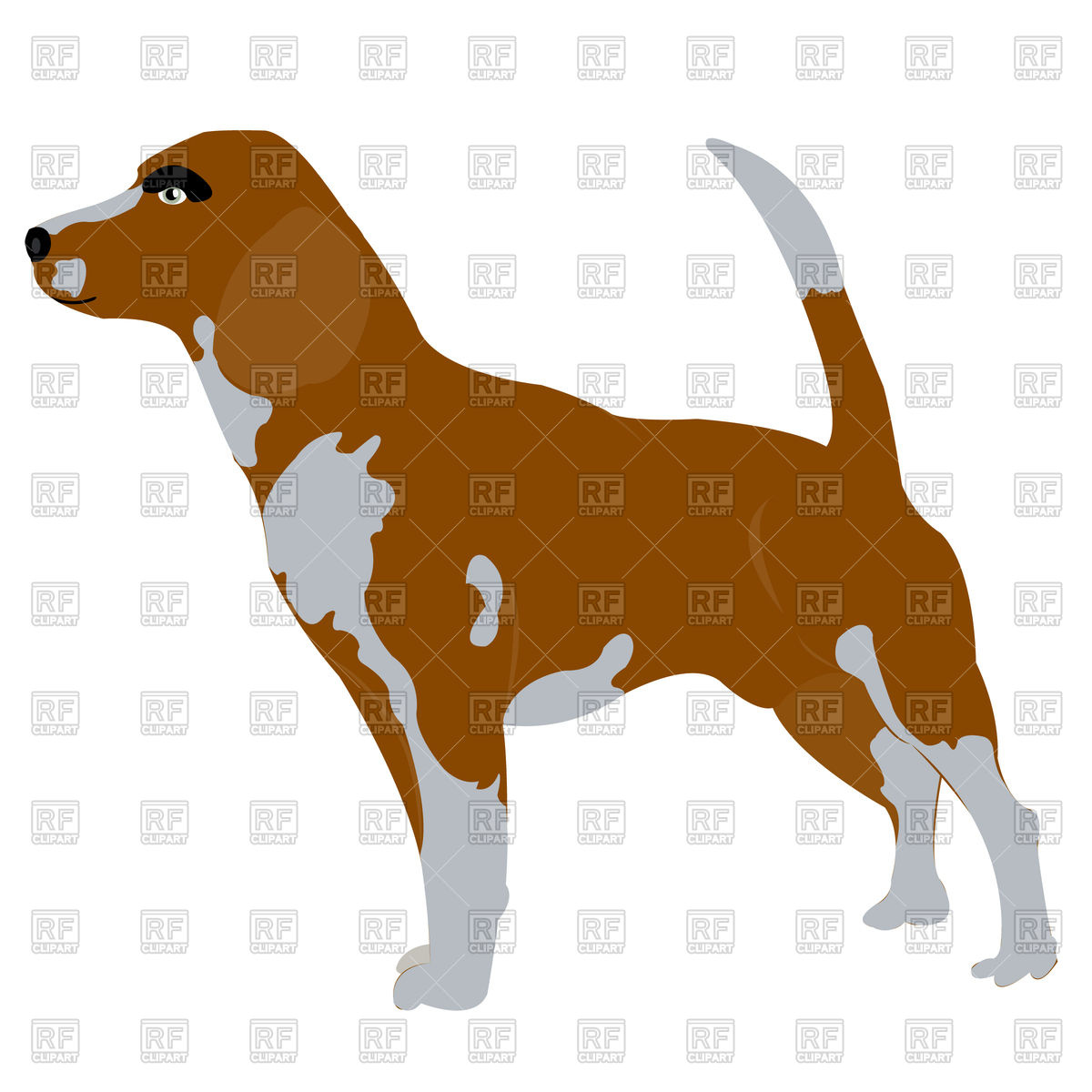 1200x1200 Beagle Dog Royalty Free Vector Clip Art Image