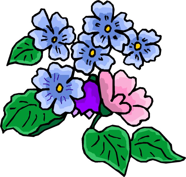 760x727 Flowers Clip Art Flowers And Plants