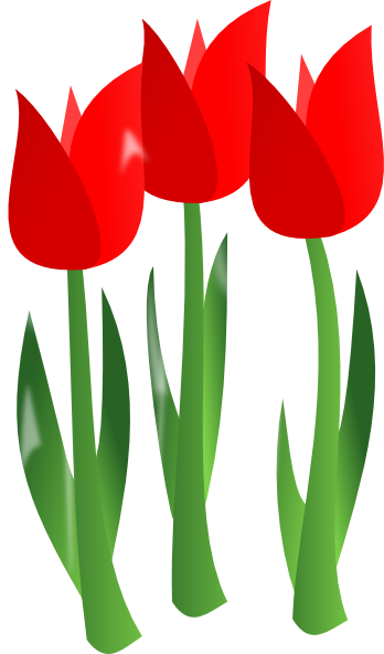 348x592 Tulips In Bloom Clip Art At Clker Com Vector Online Bunga Tulip