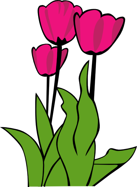 438x594 Tulips In Bloom Clip Art Free Vector 4vector