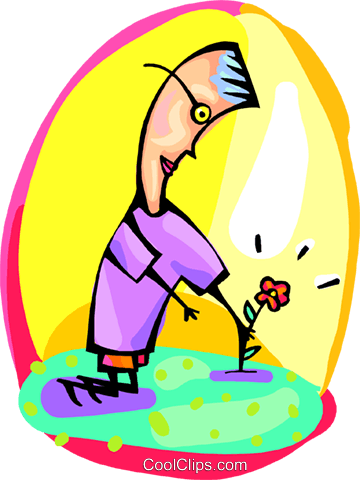 360x480 Growth, Young Flower In Bloom Royalty Free Vector Clip Art