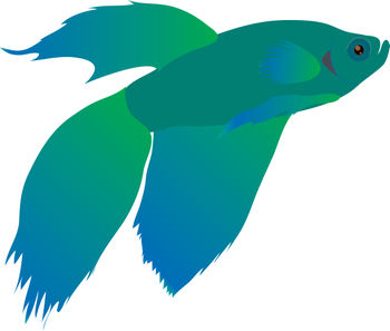 350x297 Free Clip Art Picture Of A Blue And Green Beta Fish