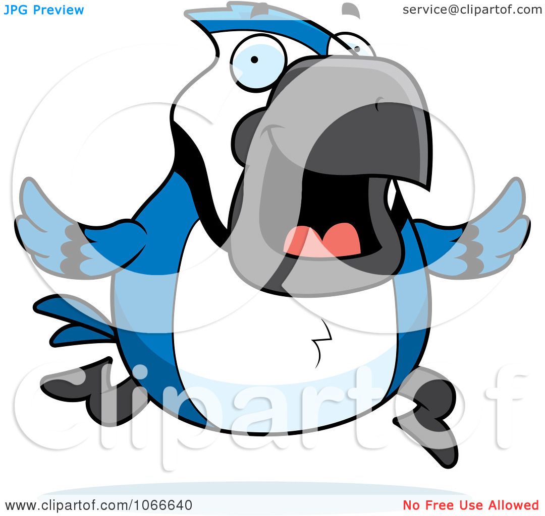 1080x1024 Clipart Pudgy Blue Jay Running