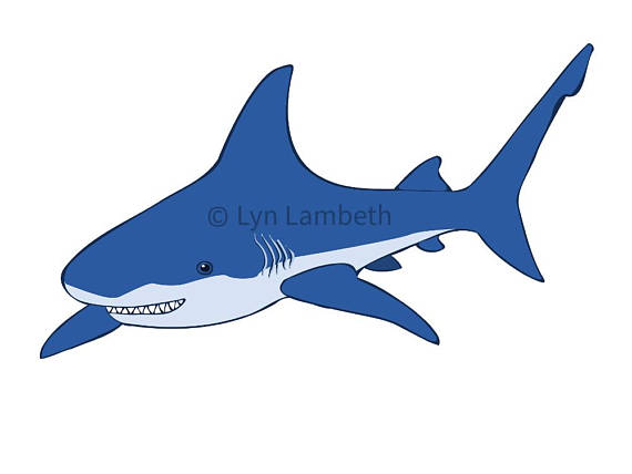 570x428 Shark Clip Art, Instant Download, Commercial Use, Blue Shark