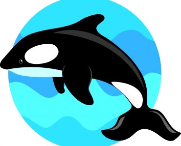 370x297 Fresh Clean Up Toys Clipart Design