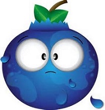 209x219 Free Blueberry Clipart