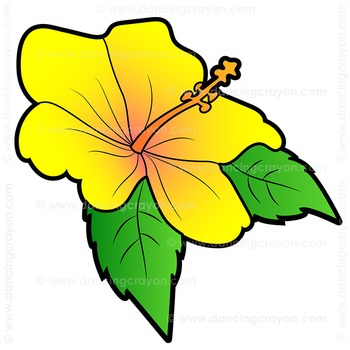 350x350 Flowers Us State Flowers Clip Art By Dancing Crayon Designs Tpt