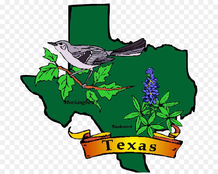 900x720 Texas Utah Symbol Bluebonnet Clip Art
