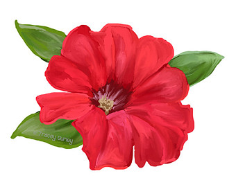 340x270 Bluebonnet Original Art Bluebonnet Clip Art Texas State