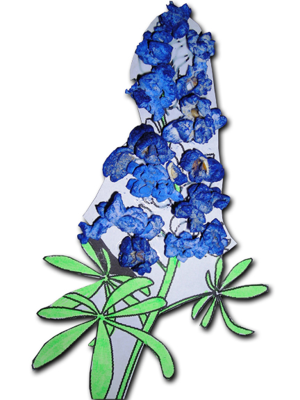 432x576 Bluebonnet Petal Clipart