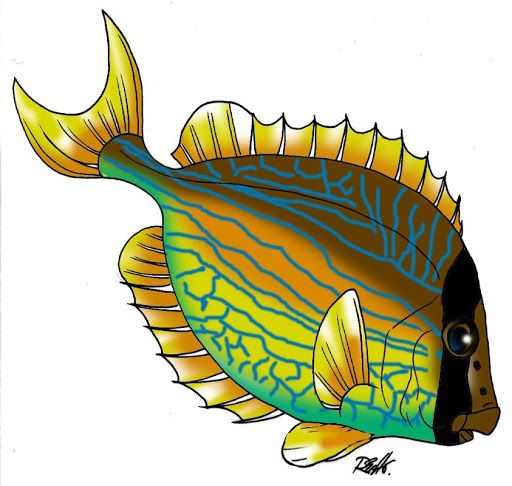 Bluegill Clipart