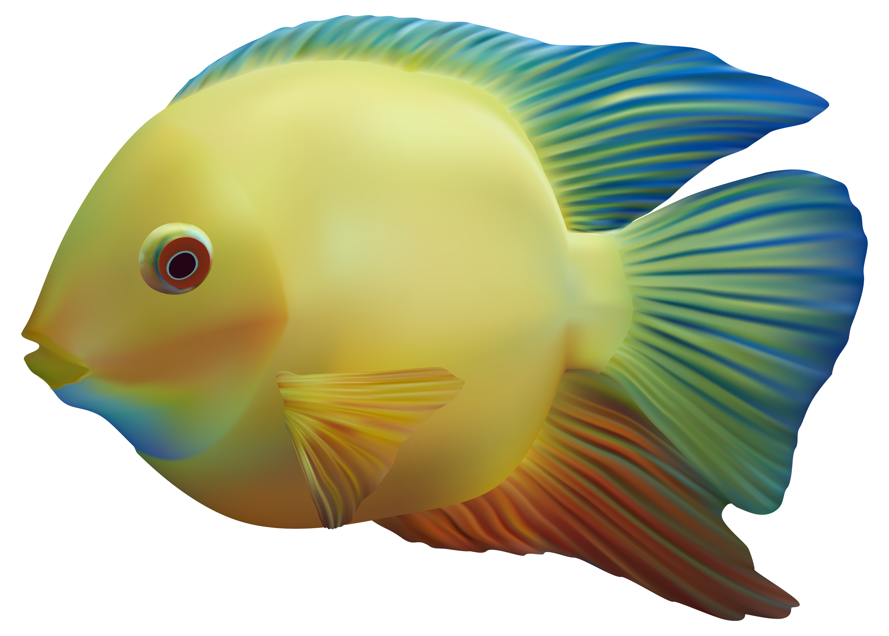 3060x2189 Tropical Fish Clipart Gills Clipart