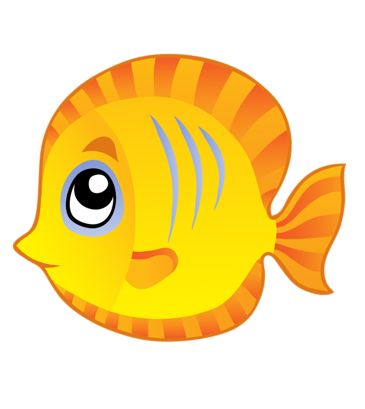 365x409 3365 Best Vida Marinha Images On Fishing, Fishing