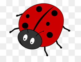 260x200 Free Download Bmw Ice Bucket Challenge Ladybird Clip Art