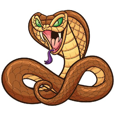 Boa Constrictor Drawing at GetDrawings | Free download
