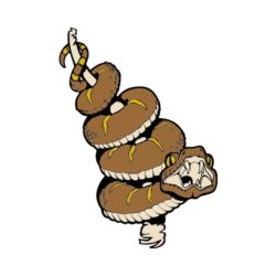 250x250 Frontiersman Quarter C Clip Art