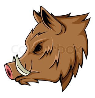 311x320 Wild Boar Stock Vector Colourbox Pigs Wild Boar
