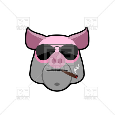 400x400 Angry Boar Head With Glasses And Cigarette Royalty Free Vector