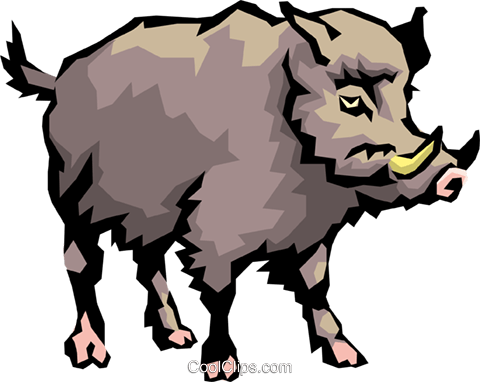 480x382 Wild Boar Royalty Free Vector Clip Art Illustration Anim0481