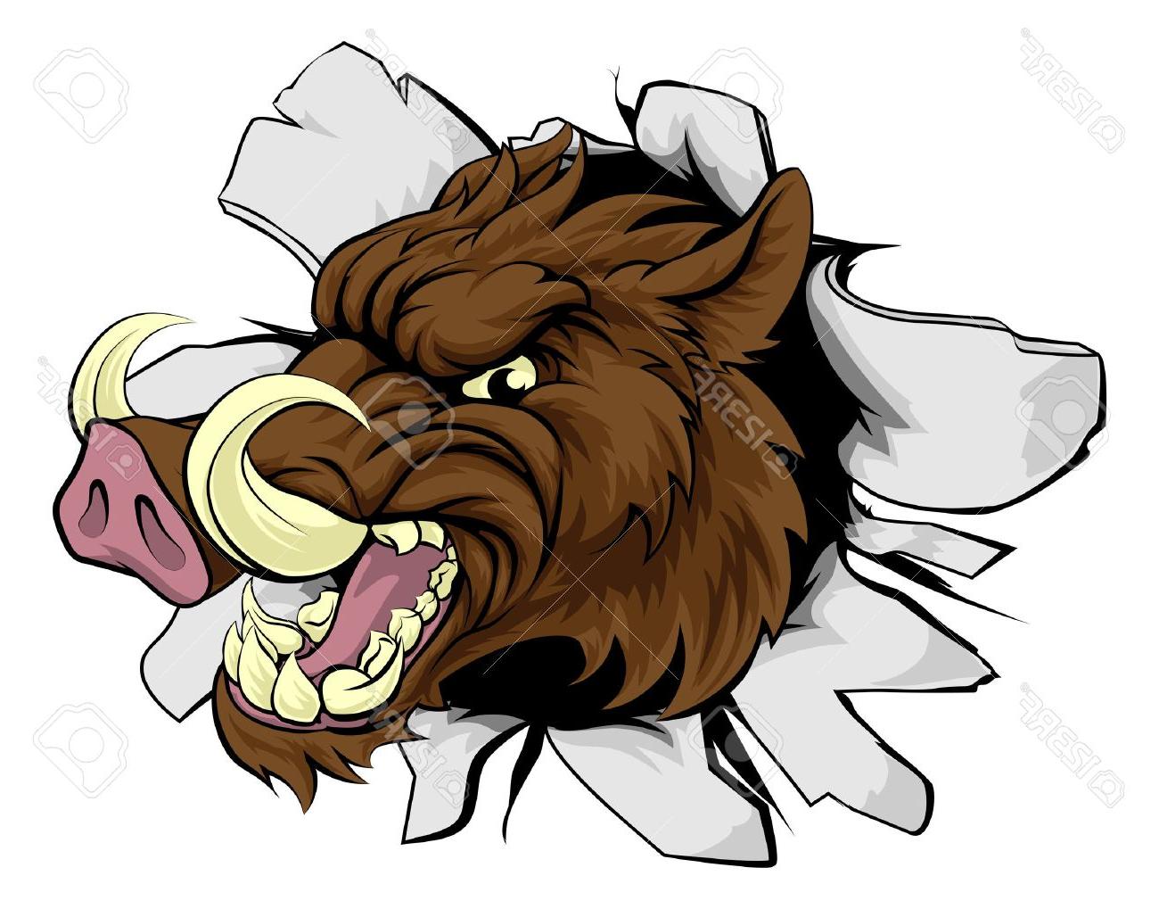 1300x1019 Best Wild Boar Or Razorback Cartoon Sports Mascot Breaking Through
