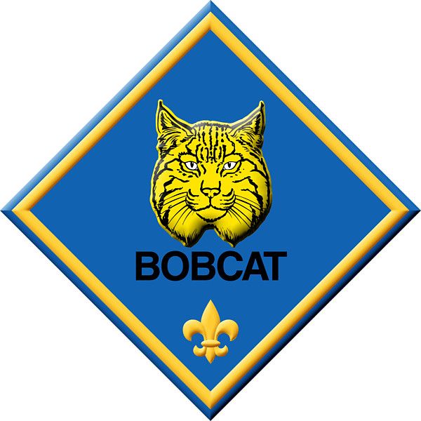 600x600 Cub Scout Clipart