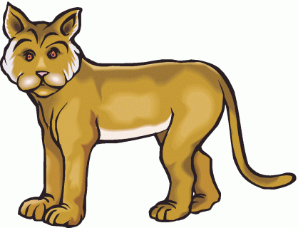 418x320 Tag For Cheetah Clip Art Cartoon Clipart Bobcat Pencil And