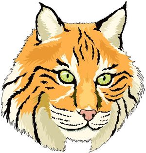 300x314 Bobcat Clip Art Clipart Panda