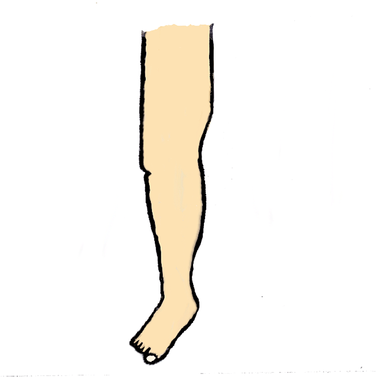750x750 Leg Body Parts Clipart