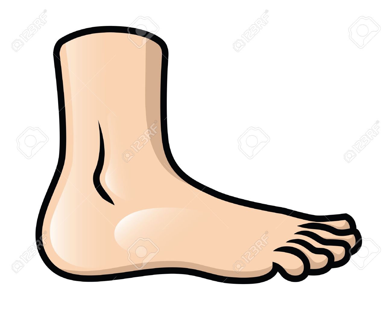 1300x1028 Clip Art Foot Clipartlook