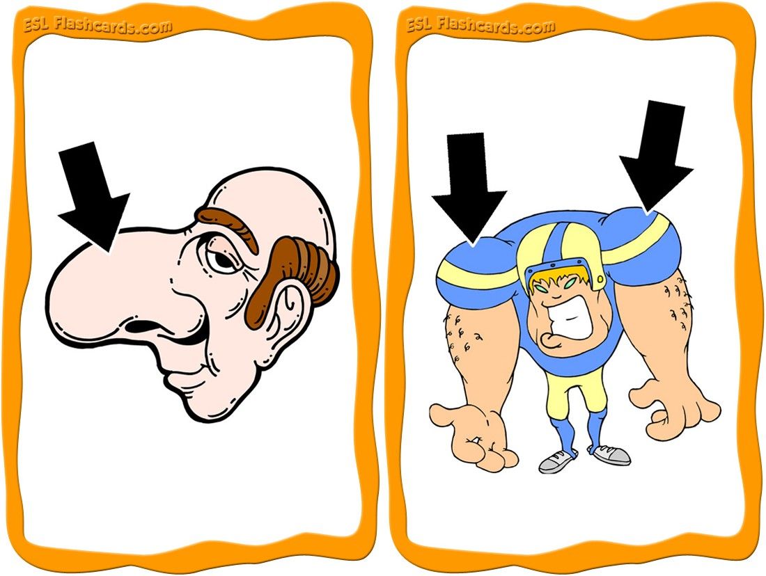 1100x828 Download A Set Of 18 Printable Body Parts Flashcards.