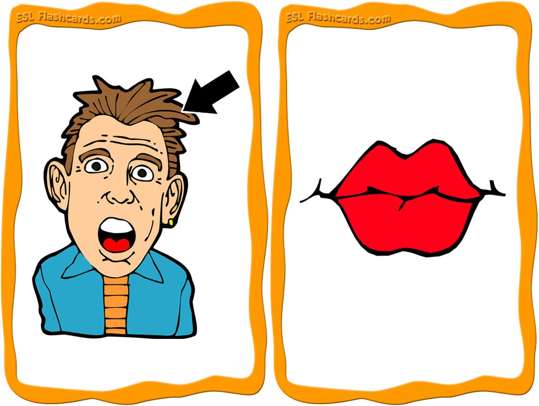 1100x828 Free Face Flashcards
