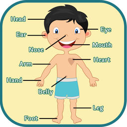 Body Parts For Kids Clipart at GetDrawings | Free download