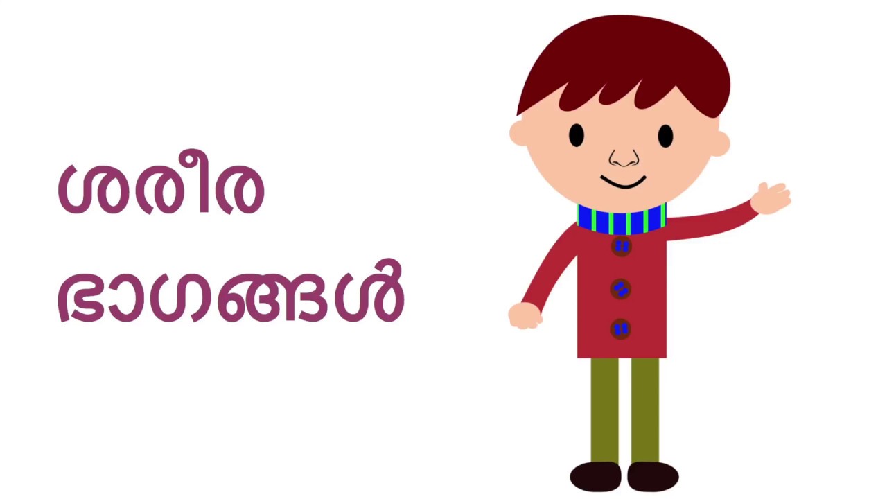 1280x720 Parts Of The Body )