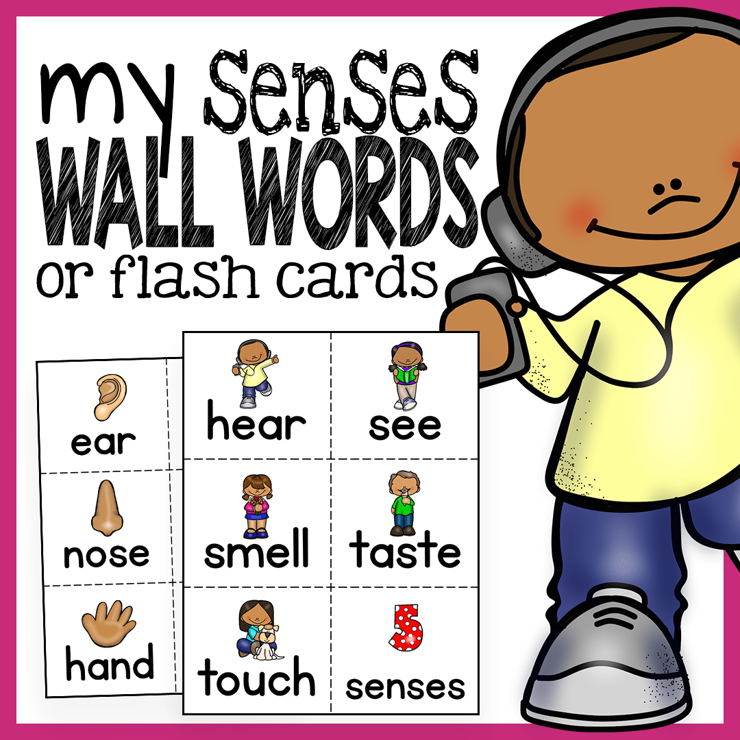1080x1080 Senses And Body Parts Word Wall Flash Cards