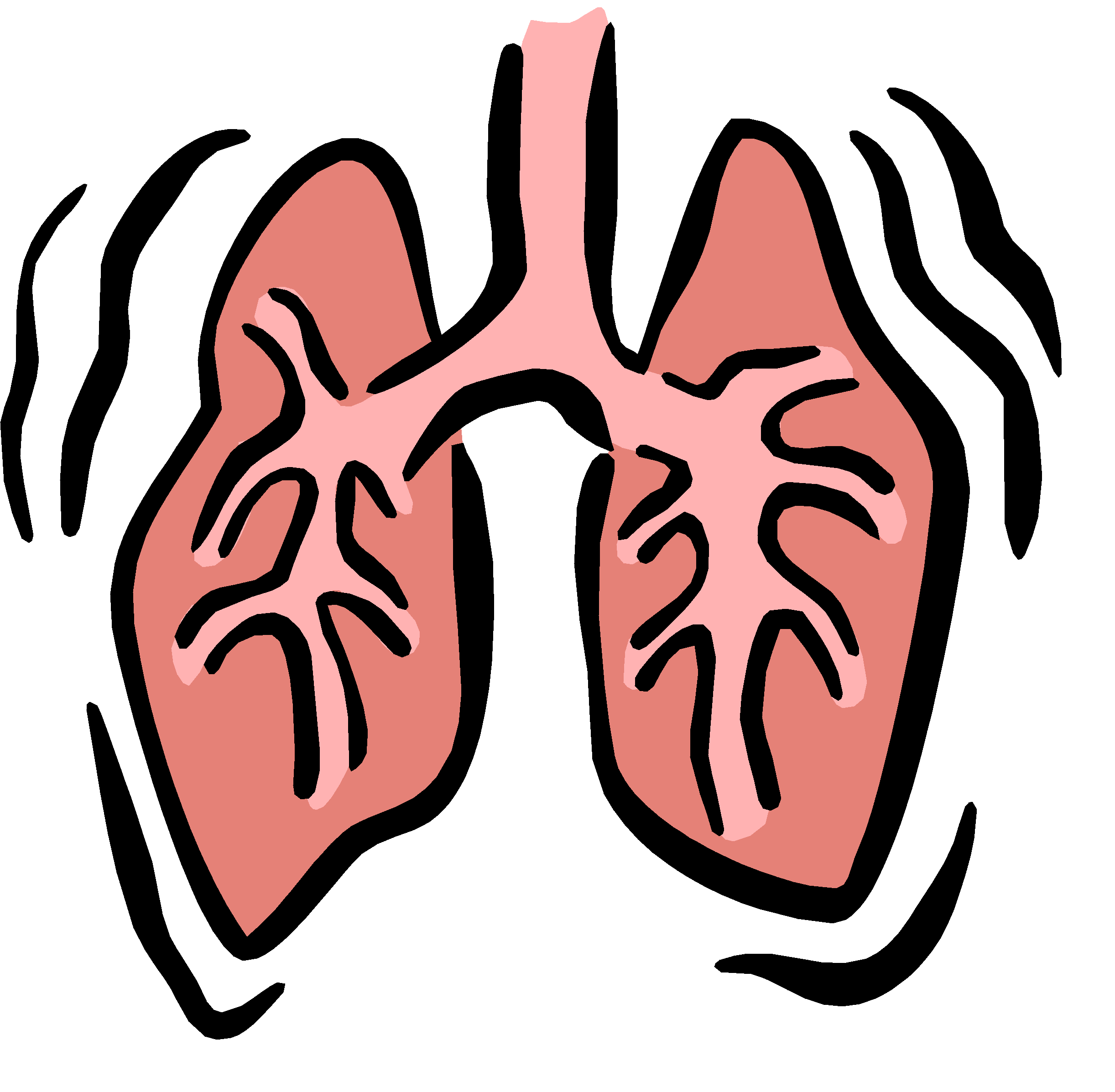 2444x2394 Small Lungs Cliparts