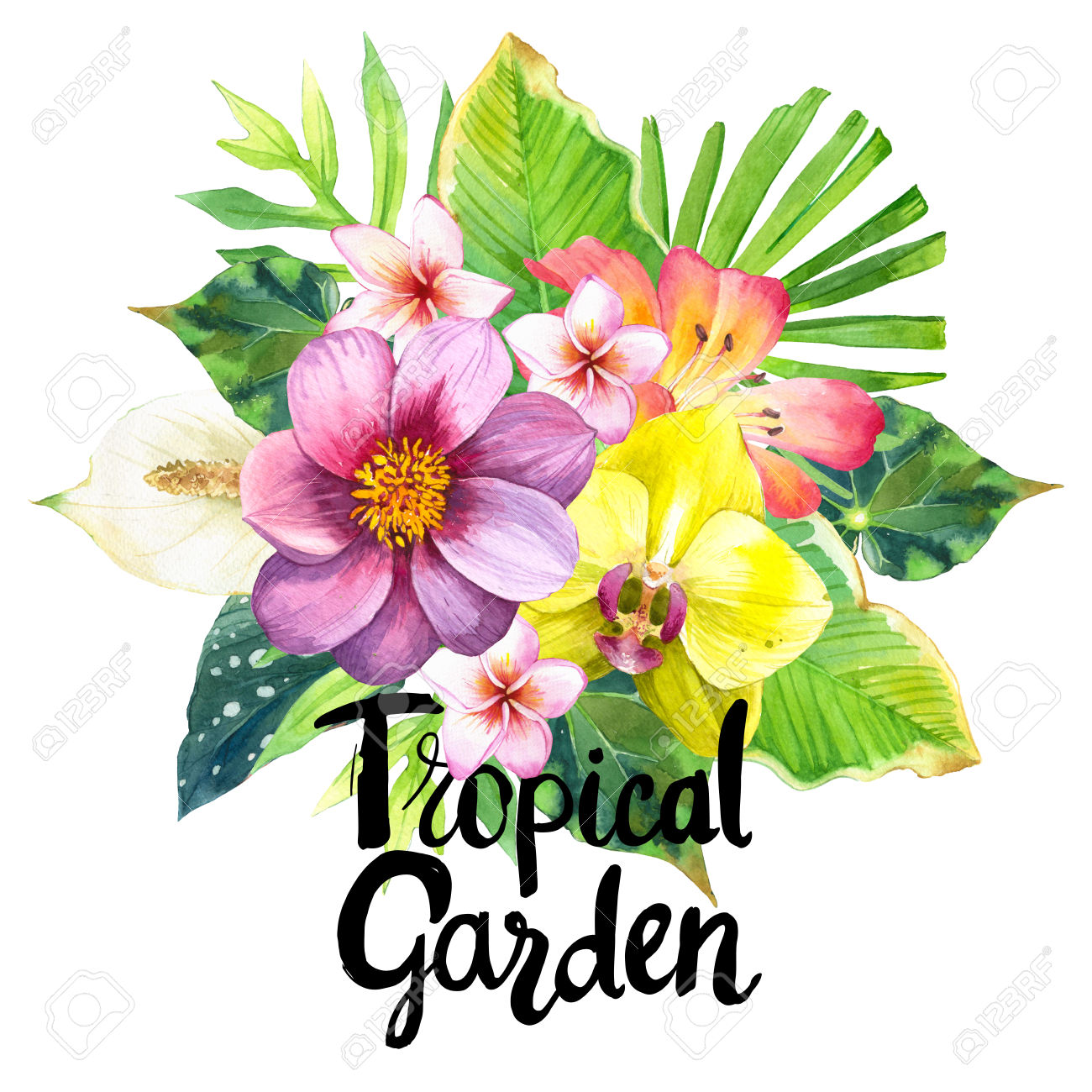 1300x1300 Lily Dahlia Clipart